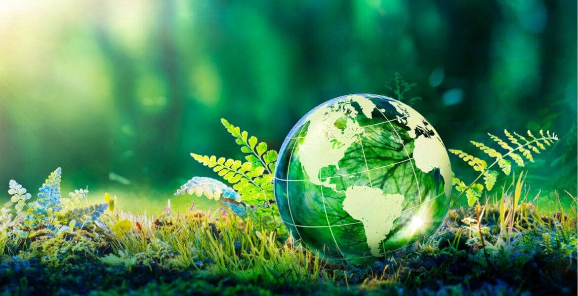 crystal globe on moss